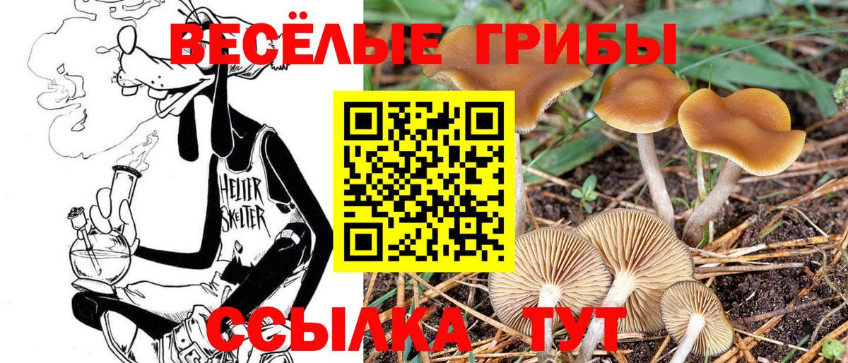 Усинск  Псилоцибиновые грибы мухоморы  Галлюциногенные грибы Magic Shrooms  хочу наркоту  Вход с VPN 